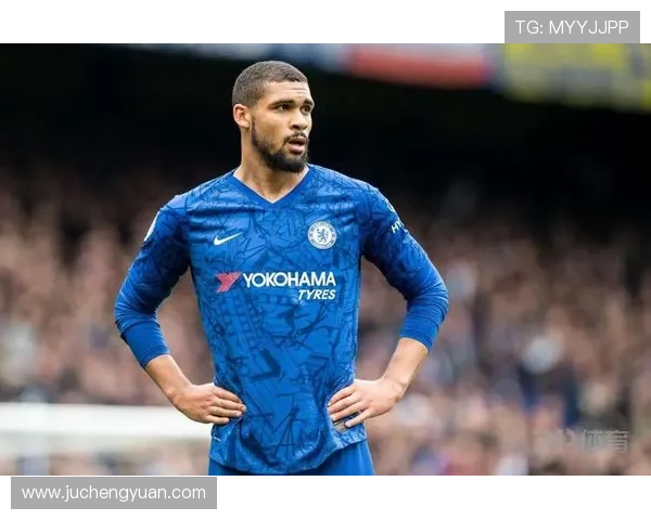 米兰体育的网址：在官网上了解米兰体育的青训体系和未来发展规划